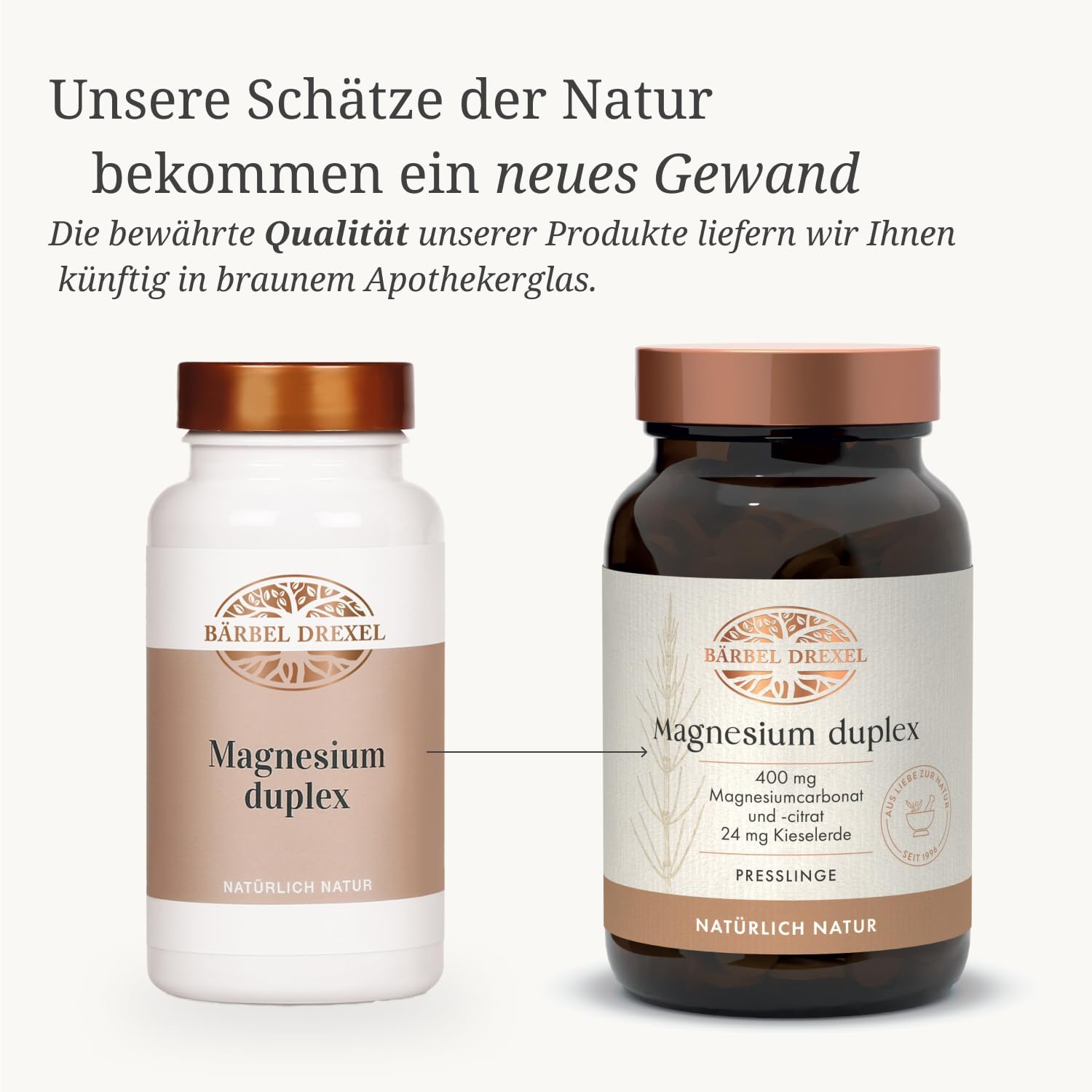 Magnesium 250 mg – BÄRBEL DREXEL® Magnesium duplex for acute needs and depot build-up (200 pieces), magnesium carbonate, silica, magnesium citrate, magnesium tablets, high dose without synthetic additives – Bild 5