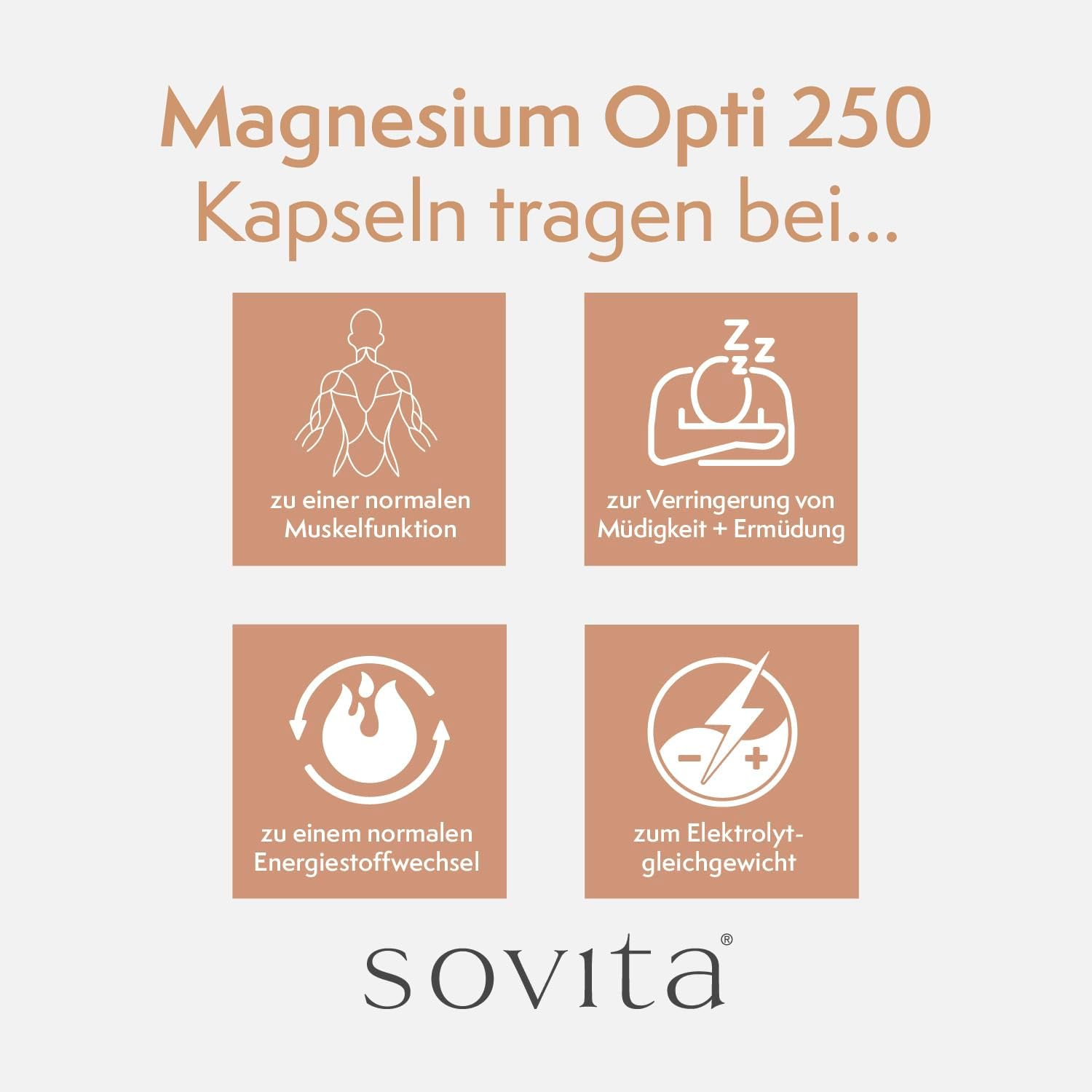 Magnesium 250 mg – sovita Magnesium Opti 250 Capsules | High Dose & Vegan | For Muscles, Nerves & Energy Metabolism – Bild 2
