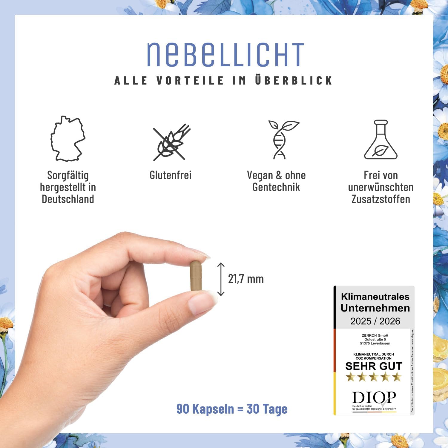 Magnesium Komplex mit B6 & Zink – NATURTREU® Fog Light - Motherwort Complex High Dose 1260 mg per Day - Complex with Ginger, Magnesium, Coenzyme Q10 & Vitamin B2 - Natural and Vegan – Bild 6