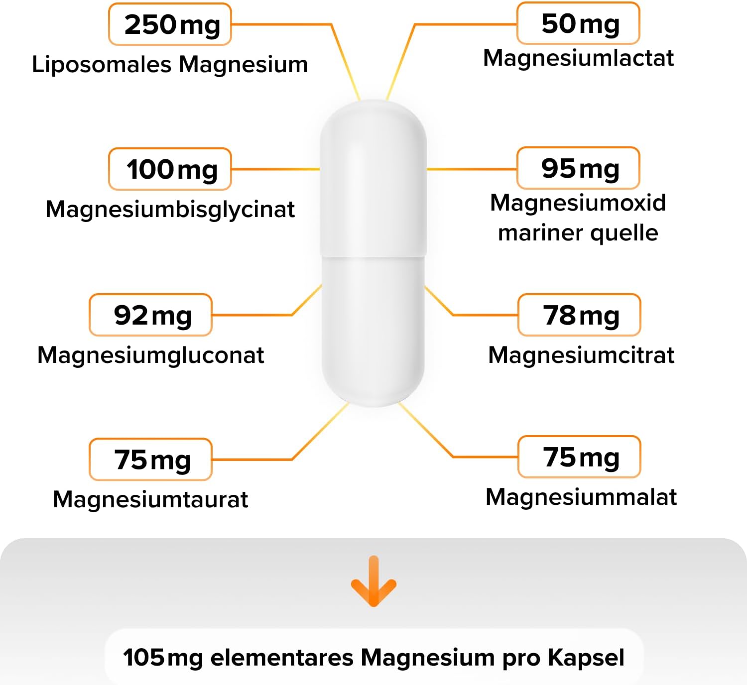 Magnesium Komplex mit B6 & Zink – Intensive Performance Magnesium 915 mg I 8 Organic Magnesium Sources I Made in Germany I Premium Quality I Laboratory Tested I Very High Bioavailability – Bild 2