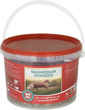 Magnesium 600 mg – Salvana Magnesium Dragees 3 kg