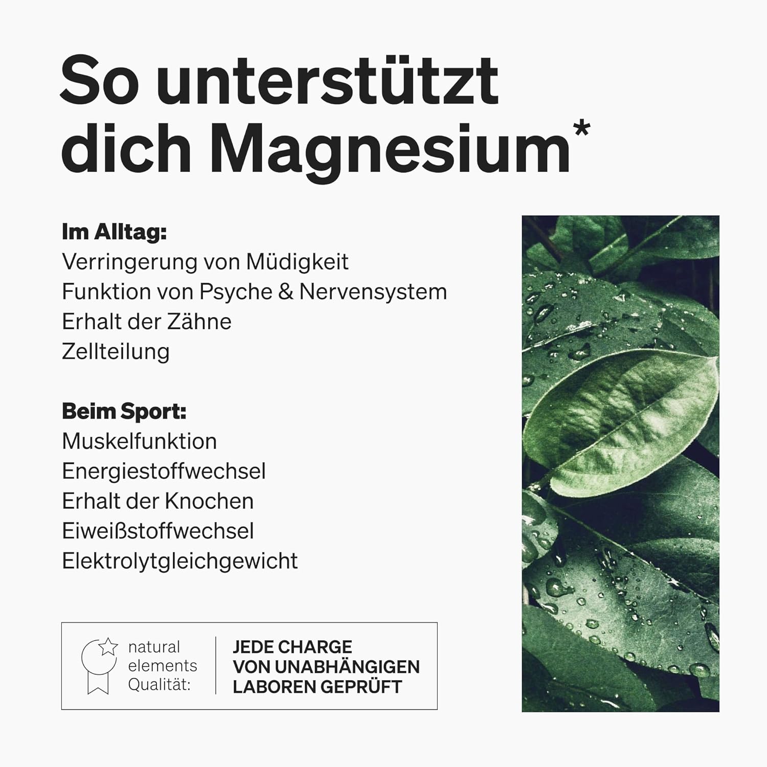 Magnesium Komplex mit B6 & Zink – Magnesium Complex - Premium: Made from 5 High-quality Compounds, 400 Mg Elemental Magnesium Per Daily Dose, Laboratory Tested, Vegan, High Dosage – Bild 5