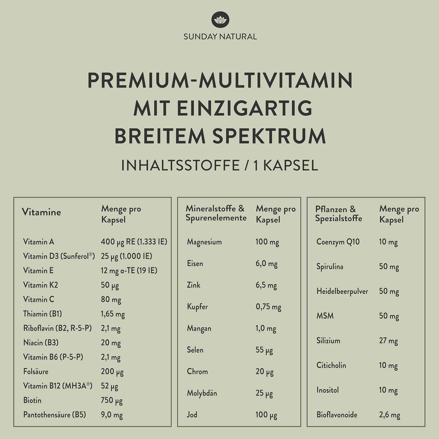 Magnesium Komplex mit B6 & Zink – SUNDAY NATURAL Multivitamin Complex - All in One - Premium All-Round Supply with Only 1 Capsule: 30 A-Z Vitamins, Micronutrients - 90 Vegan Vitamin Capsules - Laboratory Tested and Without Other – Bild 3
