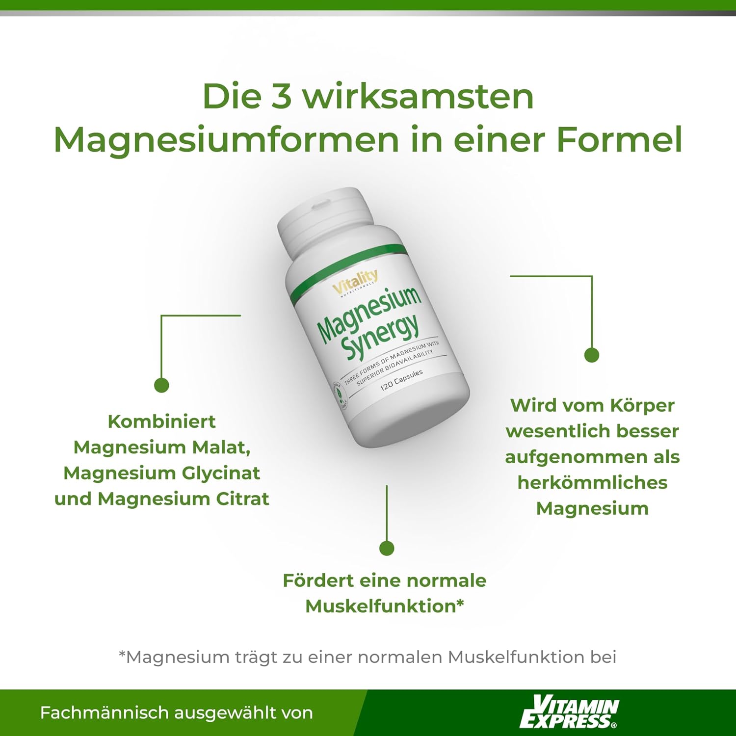 Magnesium Komplex mit B6 & Zink – Magnesium Synergy Triple Power: Magnesium Citrate, Glycinate & Malate, 120 Capsules High Dose, Premium Complex Vegan, Laboratory Tested Vitality Nutritionals by Vitamin Express – Bild 2