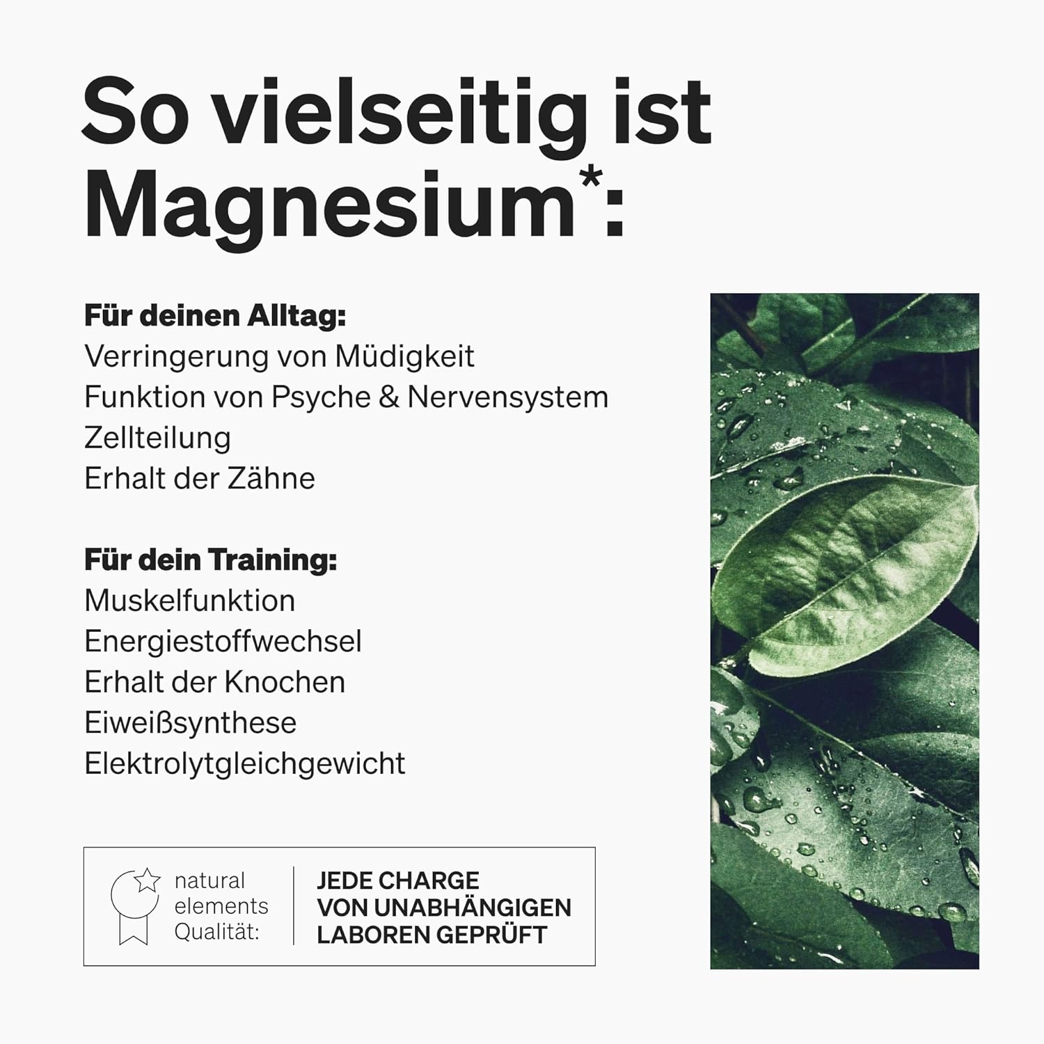 Magnesium 250 mg – Premium magnesium Citrat - 2250 mg of 360 mg of elemental magnesium per day dose - 365 capsules - Laborgeprüft and without additives such as magnesium stearate - Hochdosiert, vegan and made in Germany – Bild 5