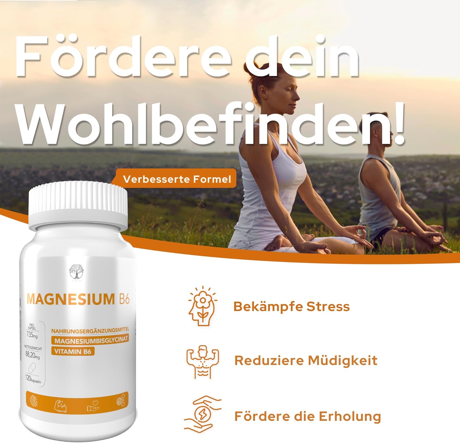 Magnesium 400 mg – Magnesium Bisglycinate Capsules + Vitamin B6 Magnesium Bisglycinate 400 mg Complex Magnesium High Dose Capsules Natural Elements – Bild 3