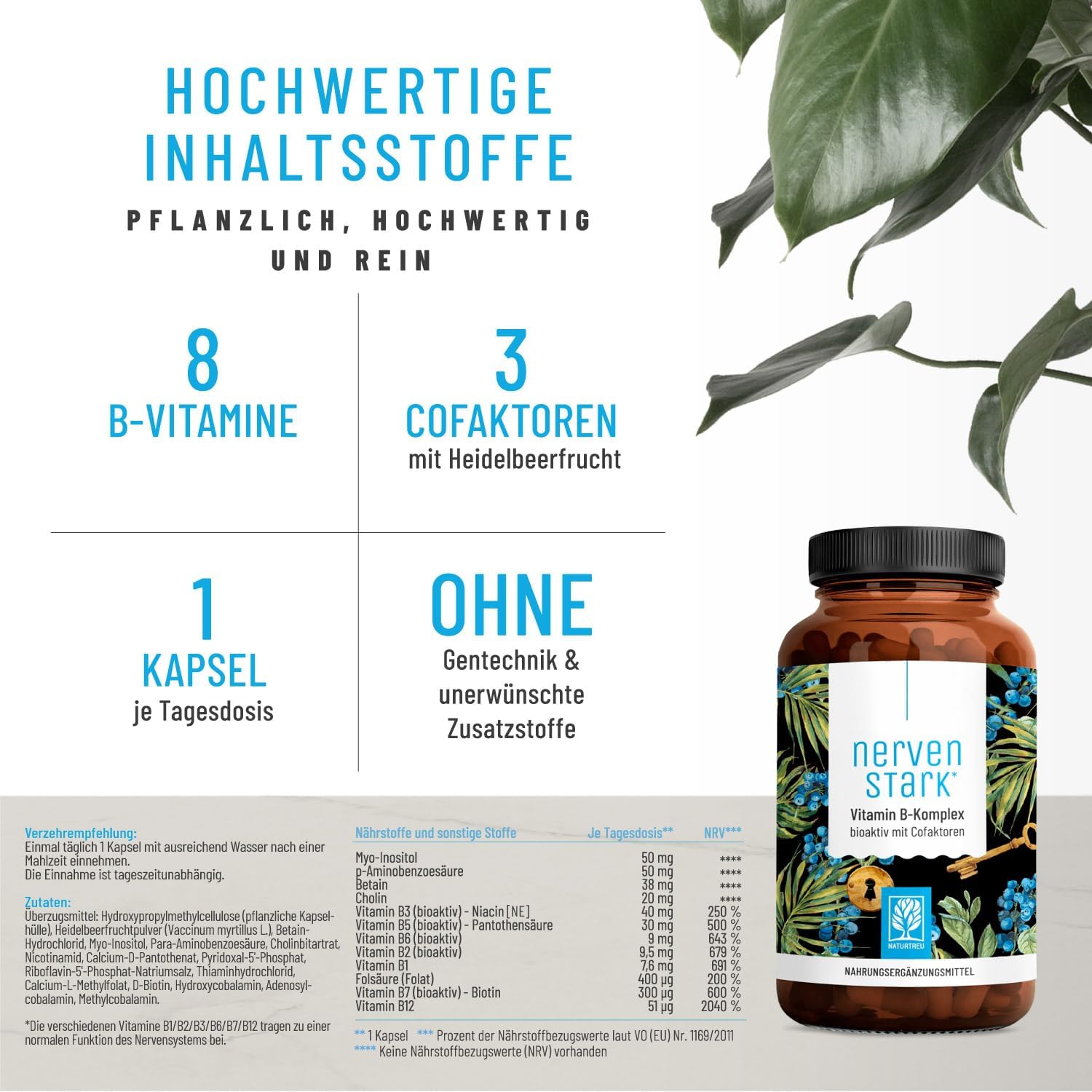 Magnesium Komplex mit B6 & Zink – Vitamin B Complex (B1-B12) with 4 Active Cofactors, All 8 B Vitamins, Vitamin B Complex Vegan, High Dose, Strong Nerve – Bild 6