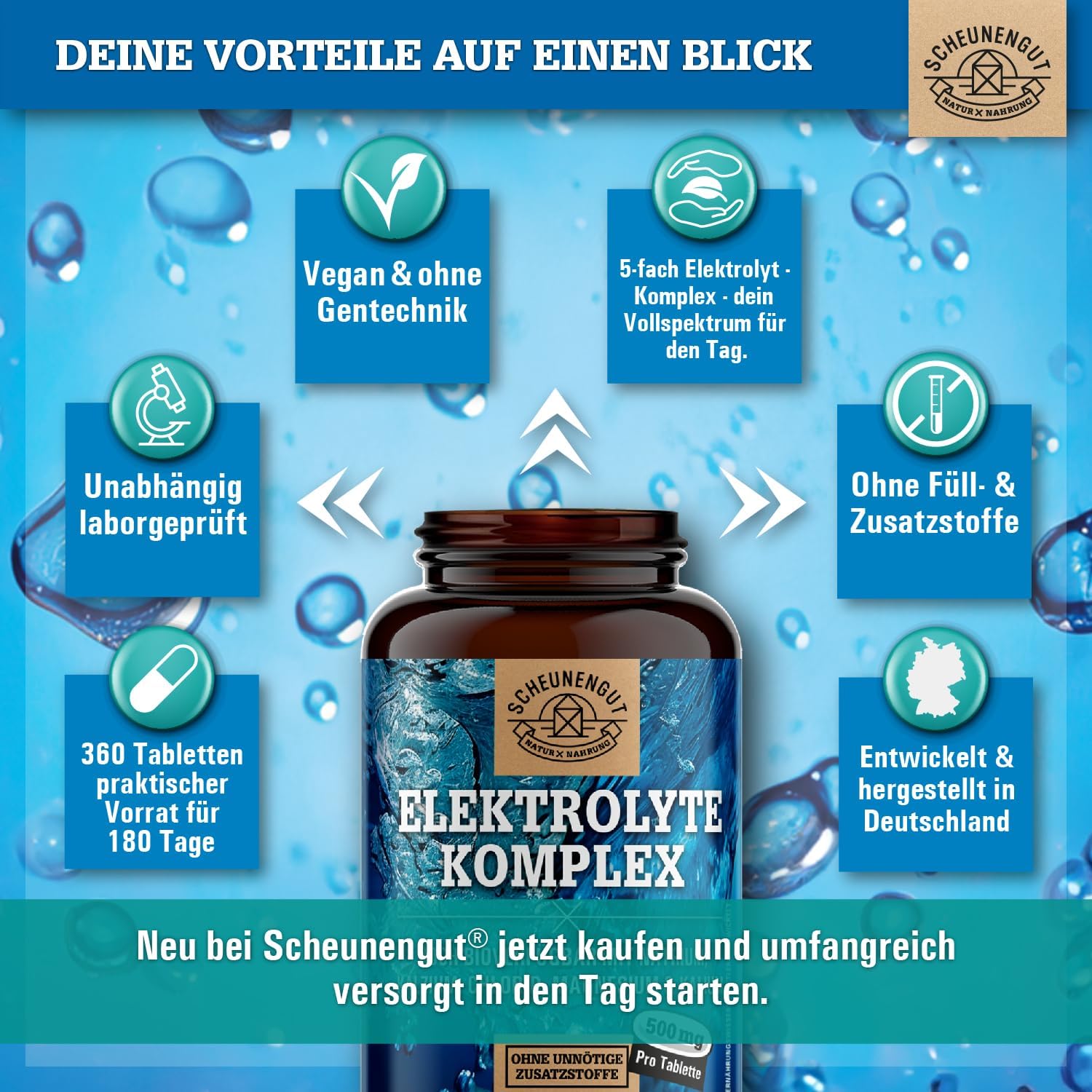Magnesium Komplex mit B6 & Zink – Electrolytes 1000 mg per dose – Important: Electrolytes without sugar – Potassium, Magnesium, Calcium, Chloride and Sodium – High Dose Complex – 360 Electrolytes I Vegan DE SCHEUNENGUT® – Bild 6