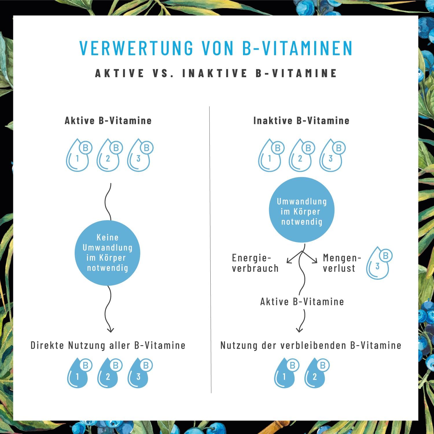 Magnesium Komplex mit B6 & Zink – Vitamin B Complex (B1-B12) with 4 Active Cofactors, All 8 B Vitamins, Vitamin B Complex Vegan, High Dose, Strong Nerve – Bild 9