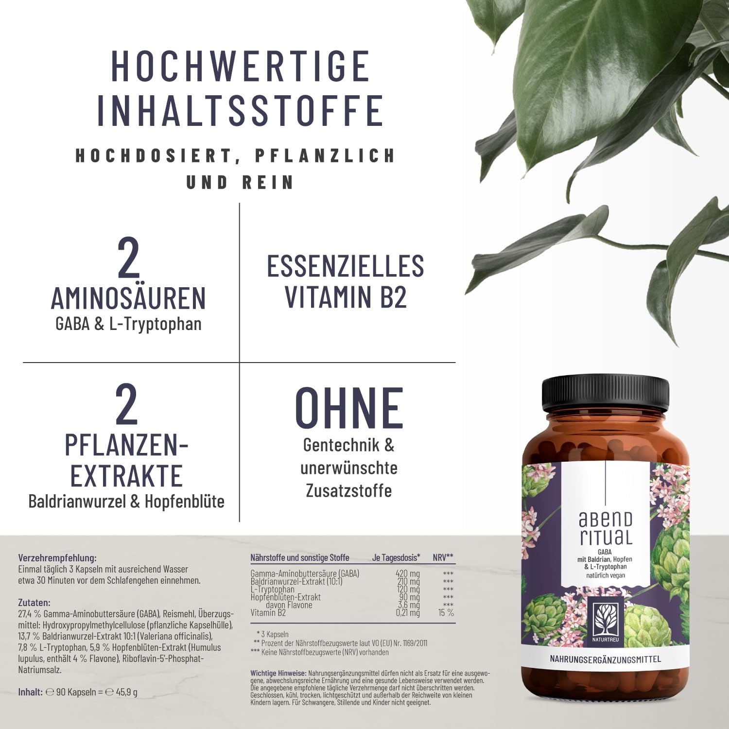 Schlaf-Magnesium mit Melatonin – Natürlich einschlafen & durchschlafen – NATURTREU® GABA Capsules High Dose with Valerian, Tryptophan, Hops - GABA Complex High Dose - 90 Capsules - Vegan & No Additives – Bild 2