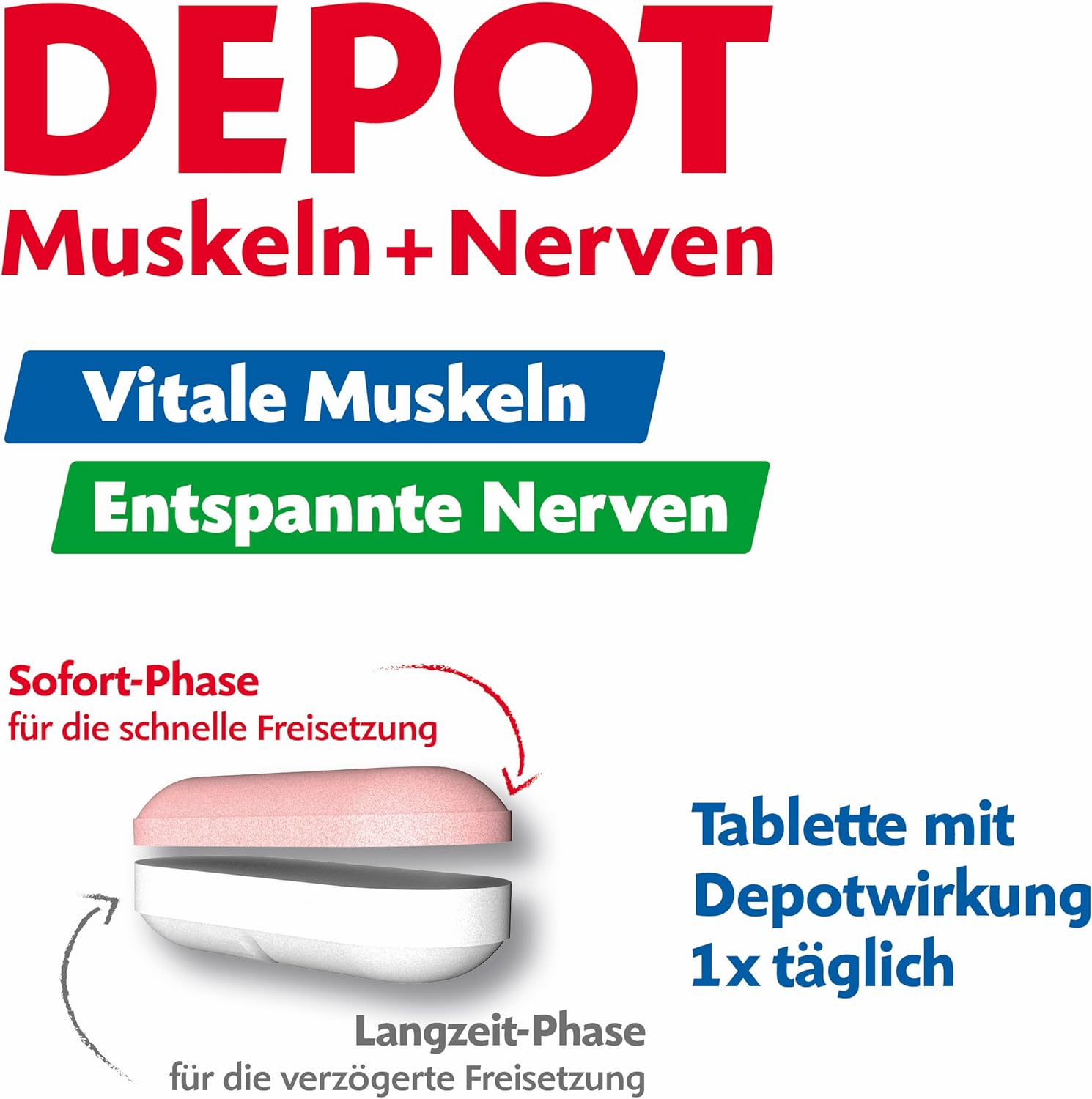 Magnesium Komplex mit B6 & Zink – MAGNESIUM-DIASPORAL® Pro Depot Muscles and Nerves, 300 mg Magnesium & Vitamin B Complex, 2-Phase Depot for Instant and Long-Term Release, Vegan, Gluten-Free & Lactose Free, 30 Tablets – Bild 4