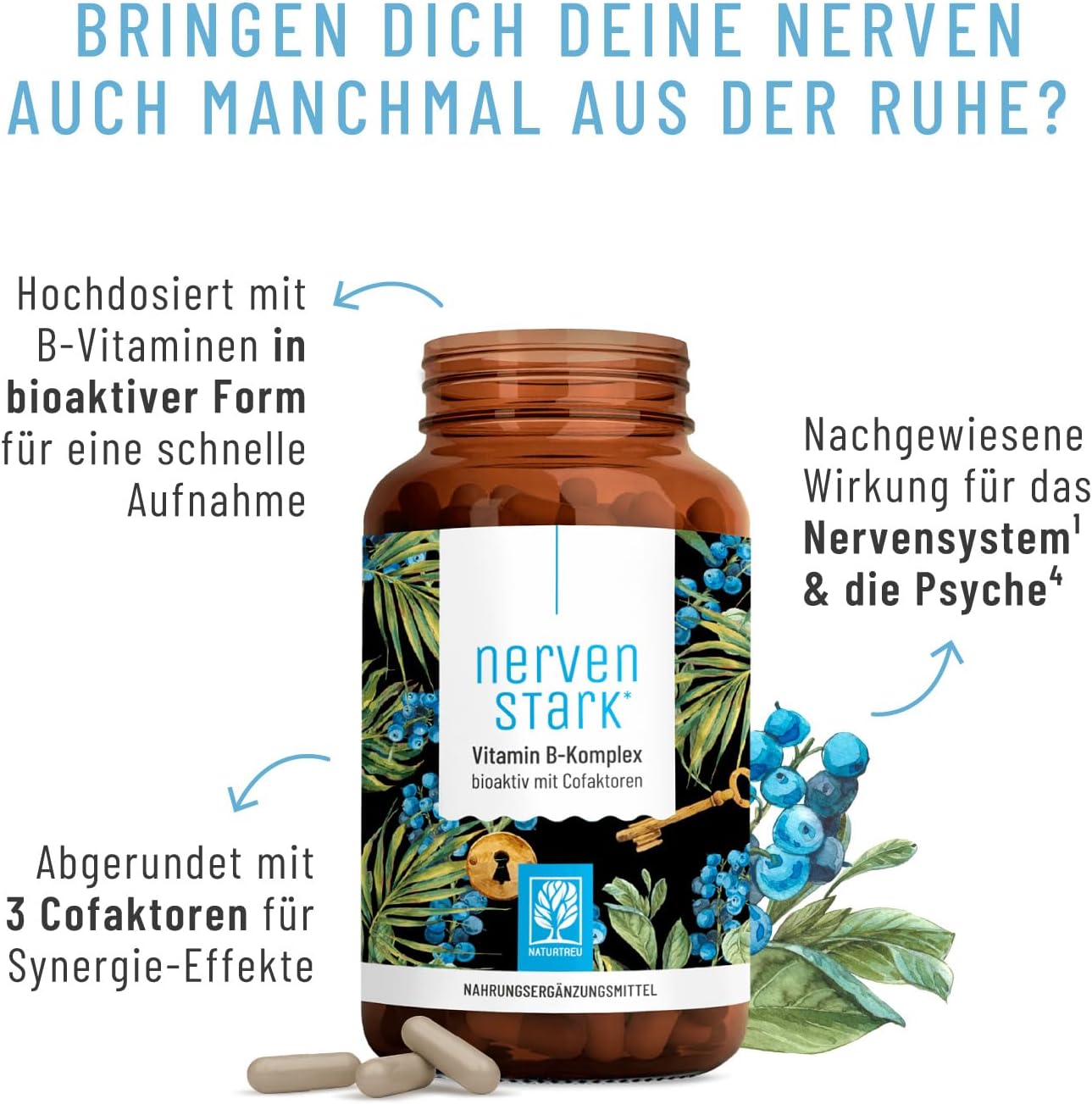 Magnesium Komplex mit B6 & Zink – Vitamin B Complex (B1-B12) with 4 Active Cofactors, All 8 B Vitamins, Vitamin B Complex Vegan, High Dose, Strong Nerve – Bild 7
