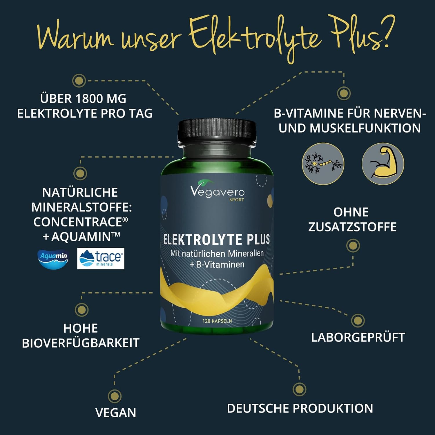 Magnesium Komplex mit B6 & Zink – Electrolyte Plus 1872 mg | Magnesium, Calcium, Potassium, Sodium, Chloride + B Vitamins | Natural Sources: ConcenTrace & Aquamine | Vegan & No Additives | Vegavero | 120 Capsules – Bild 2