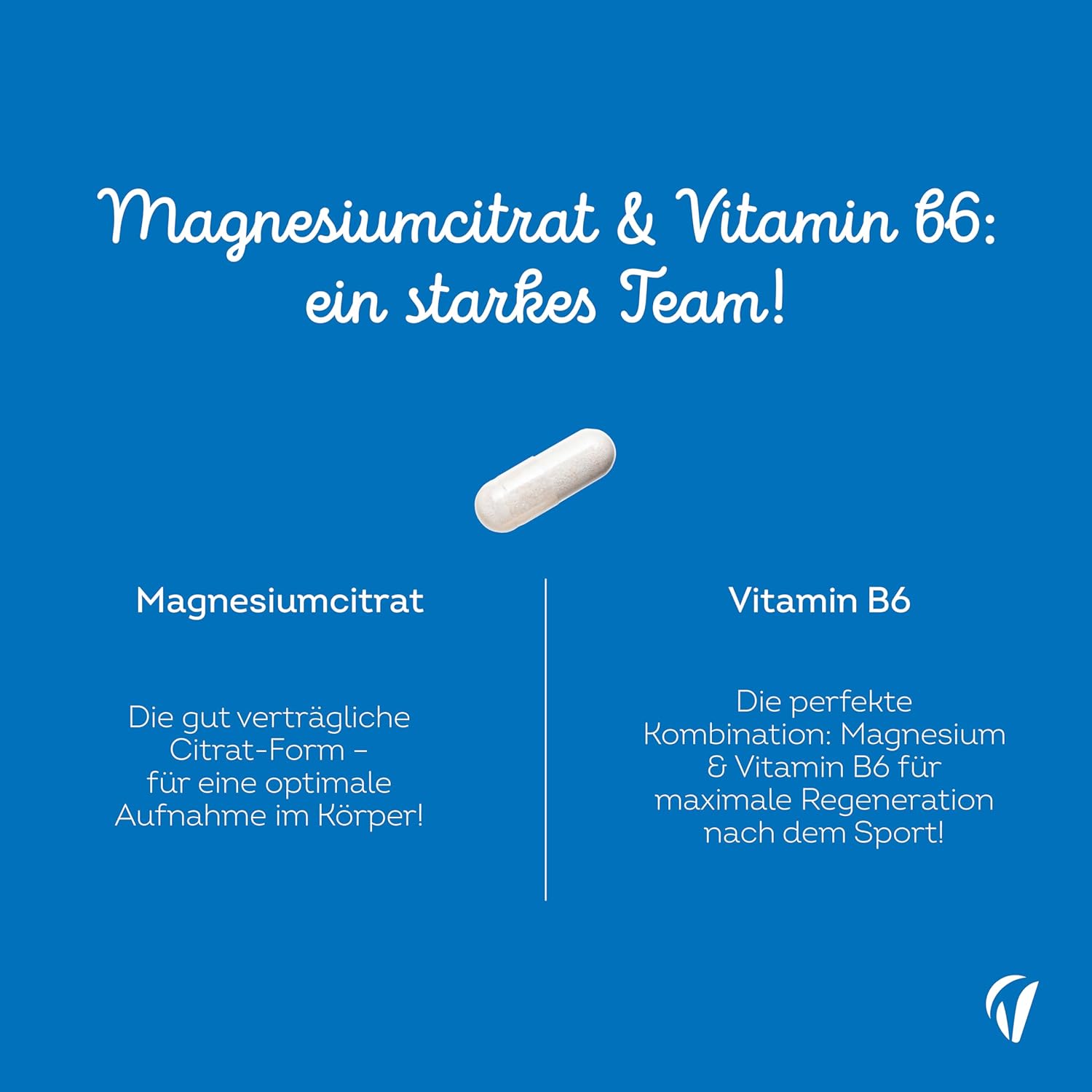 Magnesium 600 mg – Magnesium Citrate - 120 Vegan Capsules - 1520 mg Magnesium Citrate per Daily Dose - Perfect for Athletes - Muscle Function, Nerves & Energy - With Vitamin B6 - Laboratory Tested, No Additives – Bild 4