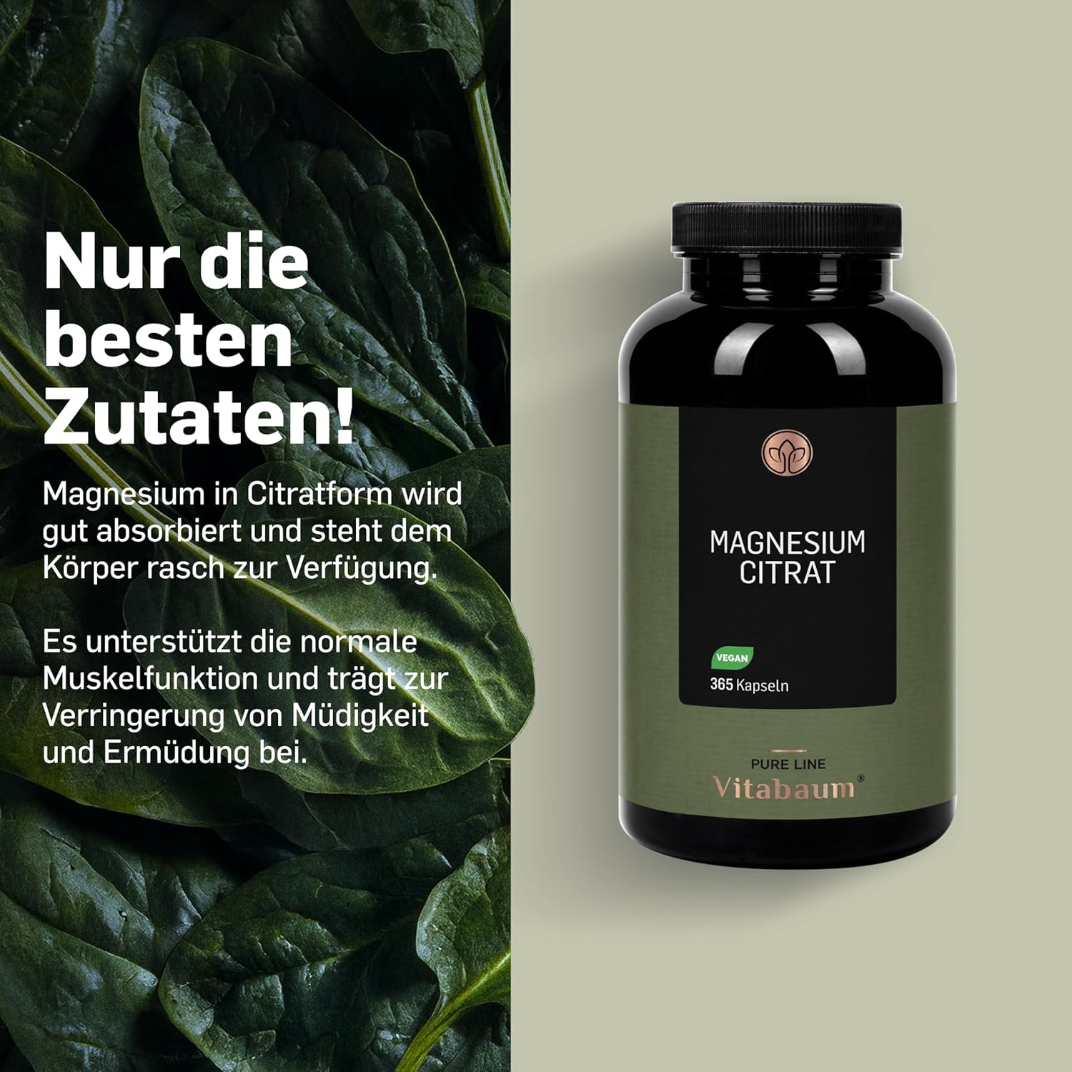 Magnesium 600 mg – Vitabaum Magnesium Citrate - 375 mg Magnesium per Daily Dose - Supports Energy Metabolism - 365 Capsules - 4 Month Supply - Vegan, Gluten Free, Lactose Free – Bild 3