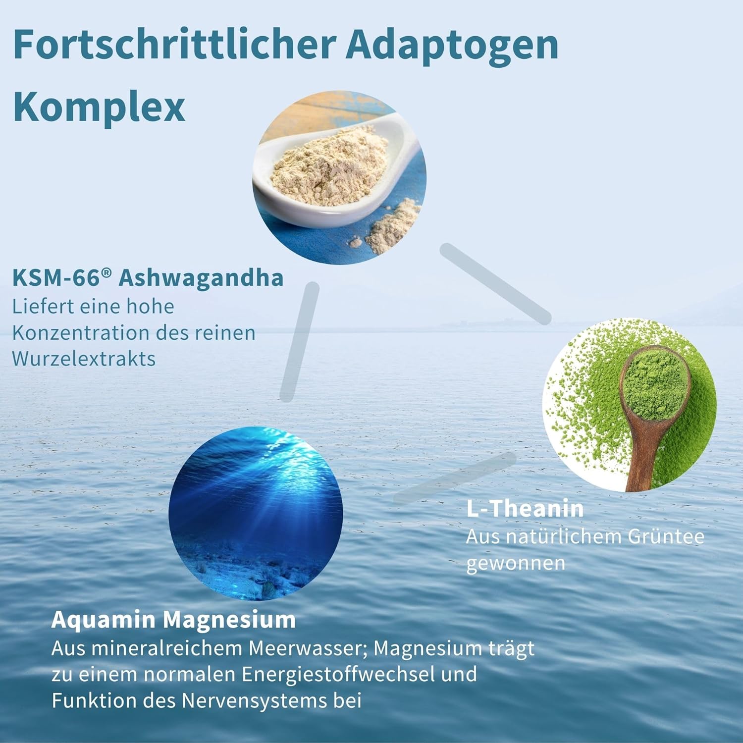 Magnesium Komplex mit B6 & Zink – Igennus High Dose Ashwagandha Anti-Stress Complex, L-Theanine & Magnesium & KSM-66 Root Extract Adaptogens, Methylated B Vitamins, for Relaxation & Sleep, Clean Label, 60 Vegan Capsules – Bild 3