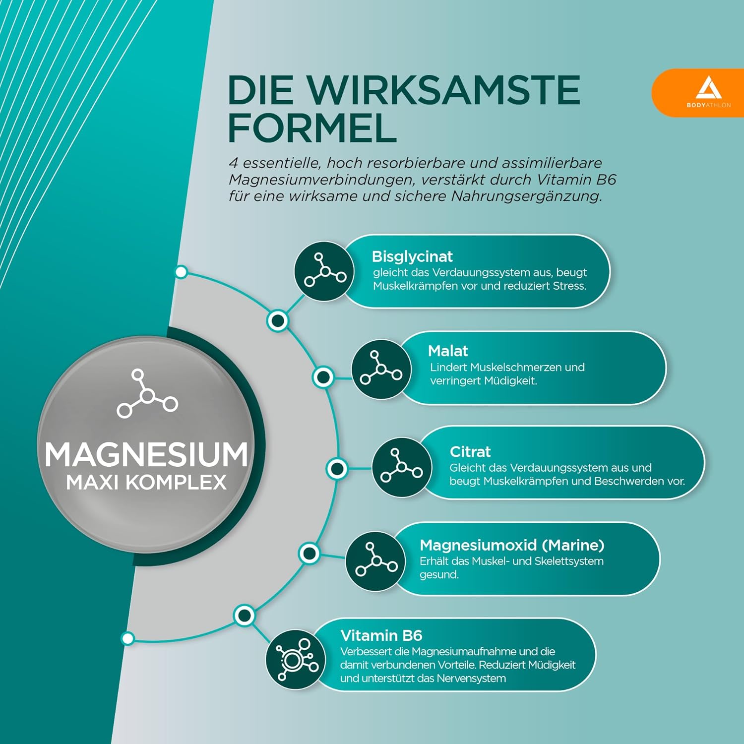 Magnesium Komplex mit B6 & Zink – Magnesium Complex | 4 Magnesium + Vitamin B6 - Magnesium Bisglycinate + Magnesium Malate + Magnesium Citrate + Magnesium Oxide - 180 Tablets - Laboratory Tested - Vegetariano, High Dose Bodyathlon – Bild 2