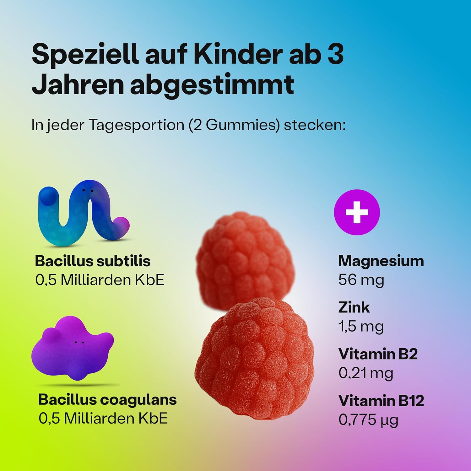 Magnesium Komplex mit B6 & Zink – fairment Tummy Gummies Gummies with Probiotic Cultures Bacillus Subtilis and Bacillus Coagulans with Magnesium, Zinc, Vitamin B2 and B12-60 Gummies – Bild 3