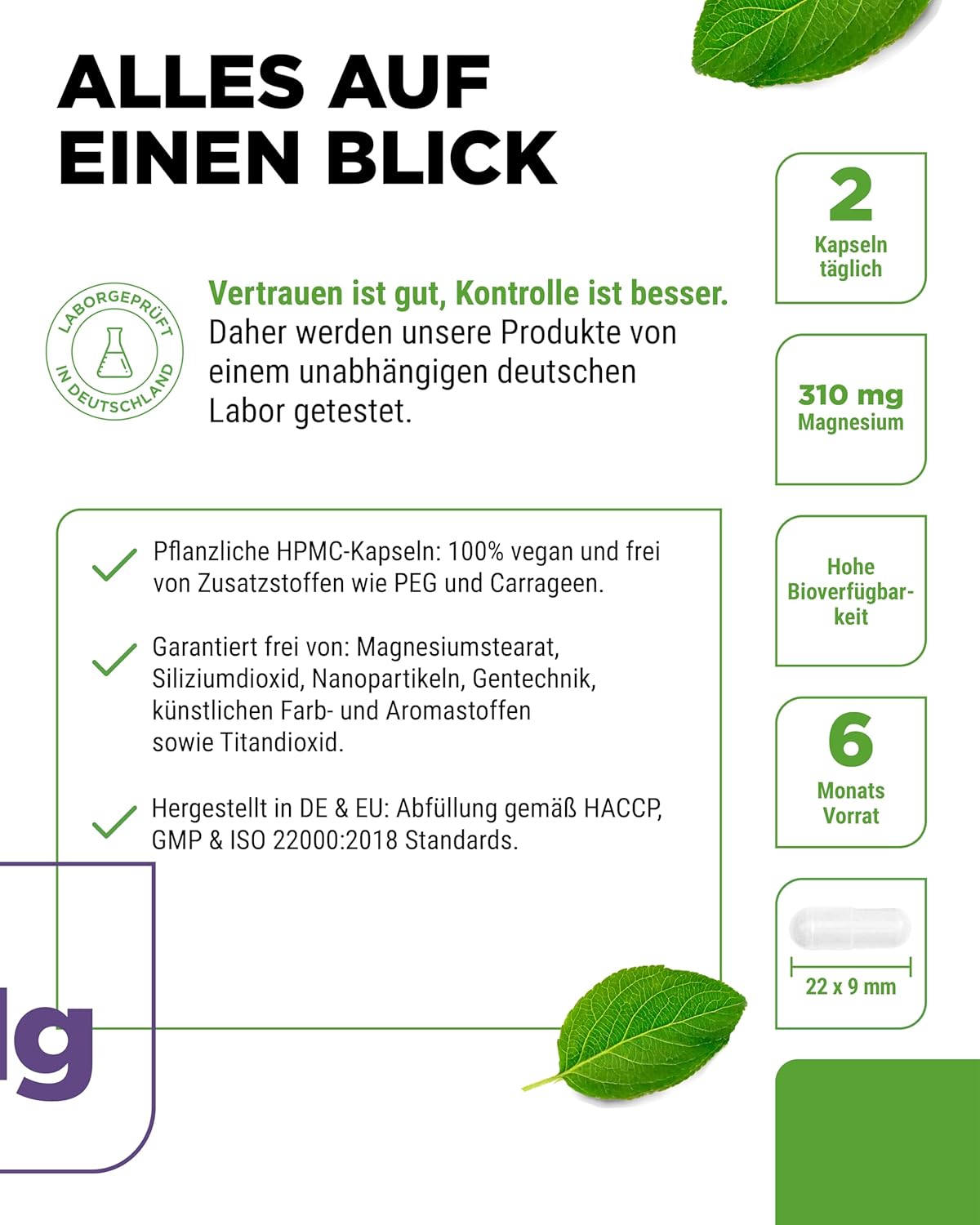 Schlaf-Magnesium mit Melatonin – Natürlich einschlafen & durchschlafen – Magnesium Bisglycinate - 365 Capsules - Premium: Chelated Magnesium - 155 mg Elementary Magnesium per Capsule - Laboratory Tested - Vegan - High Dose – Bild 4