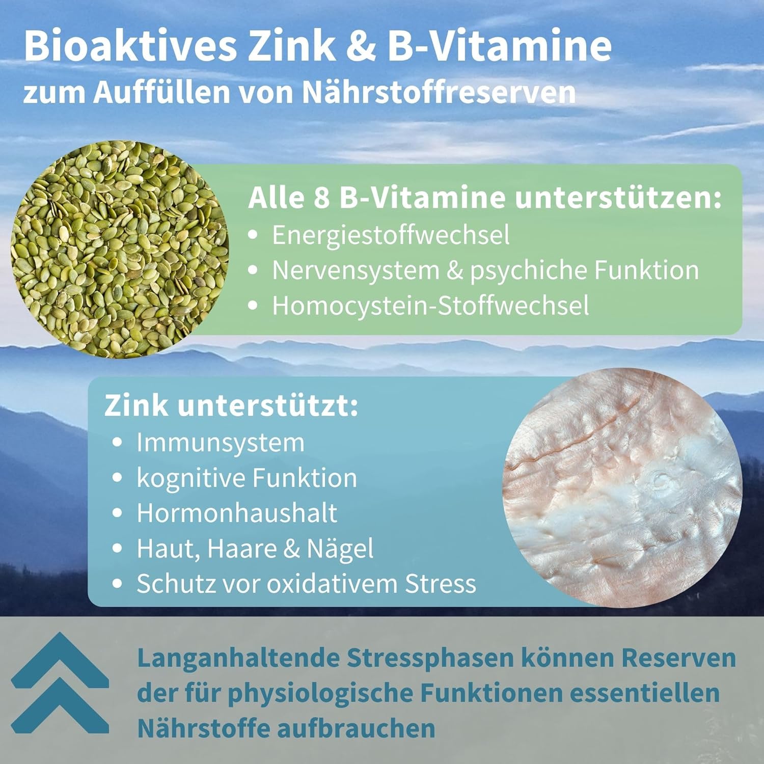 Magnesium Komplex mit B6 & Zink – Igennus High Dose Ashwagandha Anti-Stress Complex, L-Theanine & Magnesium & KSM-66 Root Extract Adaptogens, Methylated B Vitamins, for Relaxation & Sleep, Clean Label, 60 Vegan Capsules – Bild 4