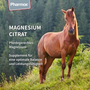 Magnesium Komplex mit B6 & Zink – Pferd & Pony Magnesium Citrate (500 g Powder) - 100% Pure Magnesium without Additives - High Dose - Good for Muscle Function - For Maintaining Strong Bones