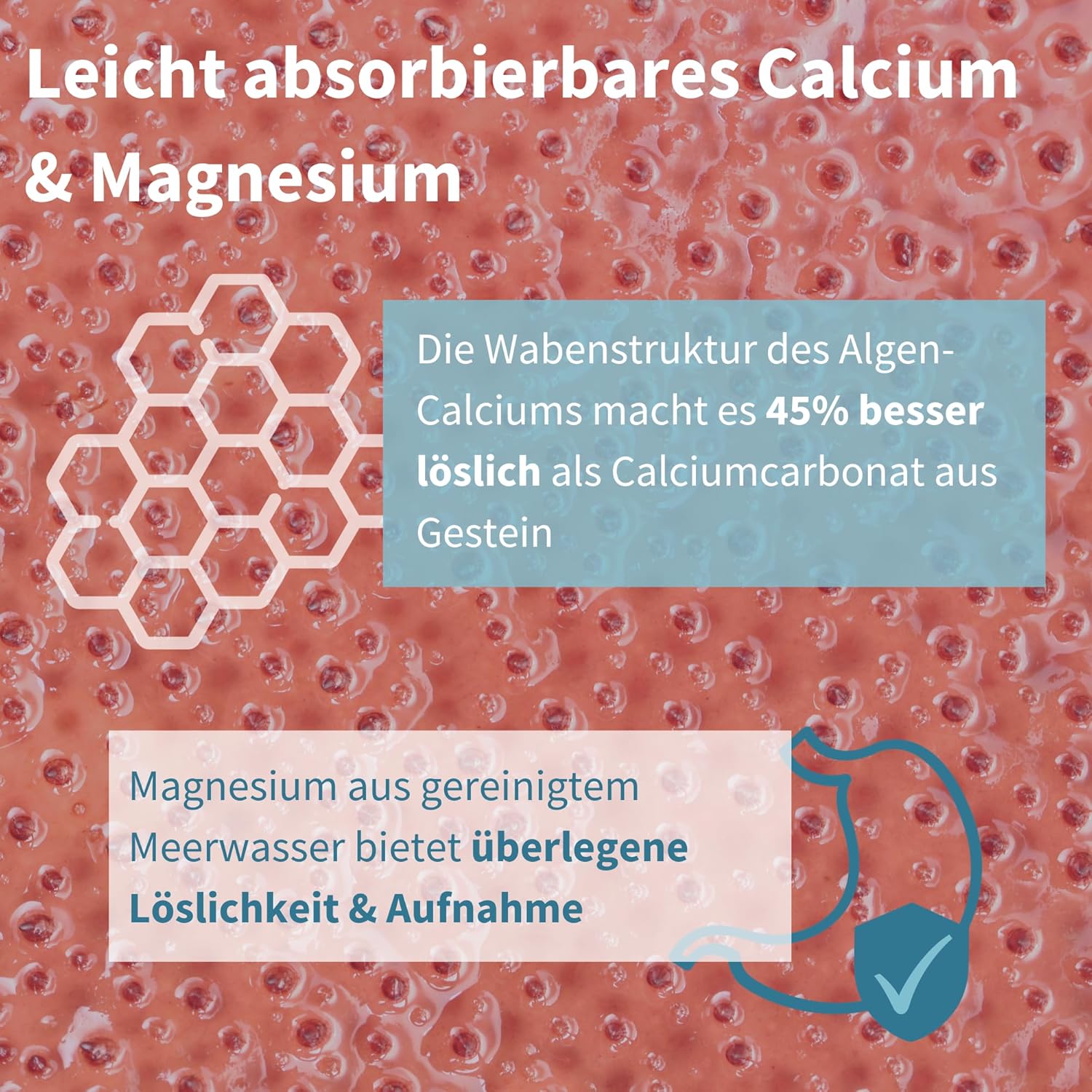 Magnesium Komplex mit B6 & Zink – Igennus Calcium Magnesium Complex with Vitamin D3, K2 and Boron as Co-Factors, High Dose, Algae Mineral Complex, Vegan, 60 Tablets – Bild 3