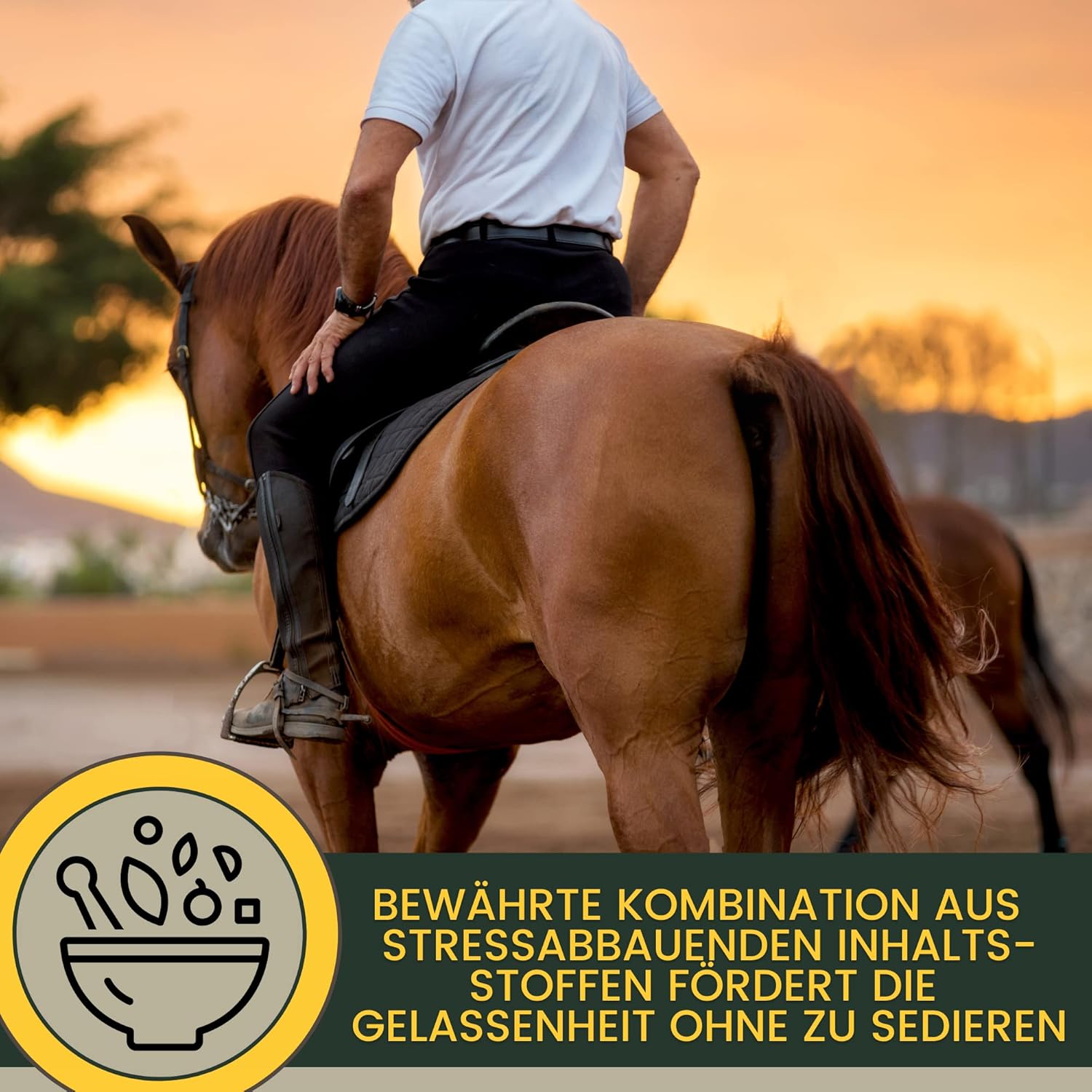 Magnesium Komplex mit B6 & Zink – Magnesium Horse with Tryptophan Vitamin B12 Liquid 1L Additional Food Calm Anti Stress - Horse Relax I Magnesium Complex for Relaxation Soothing Nerves Horse I Like Horses Relax for Anxiety Transport – Bild 7