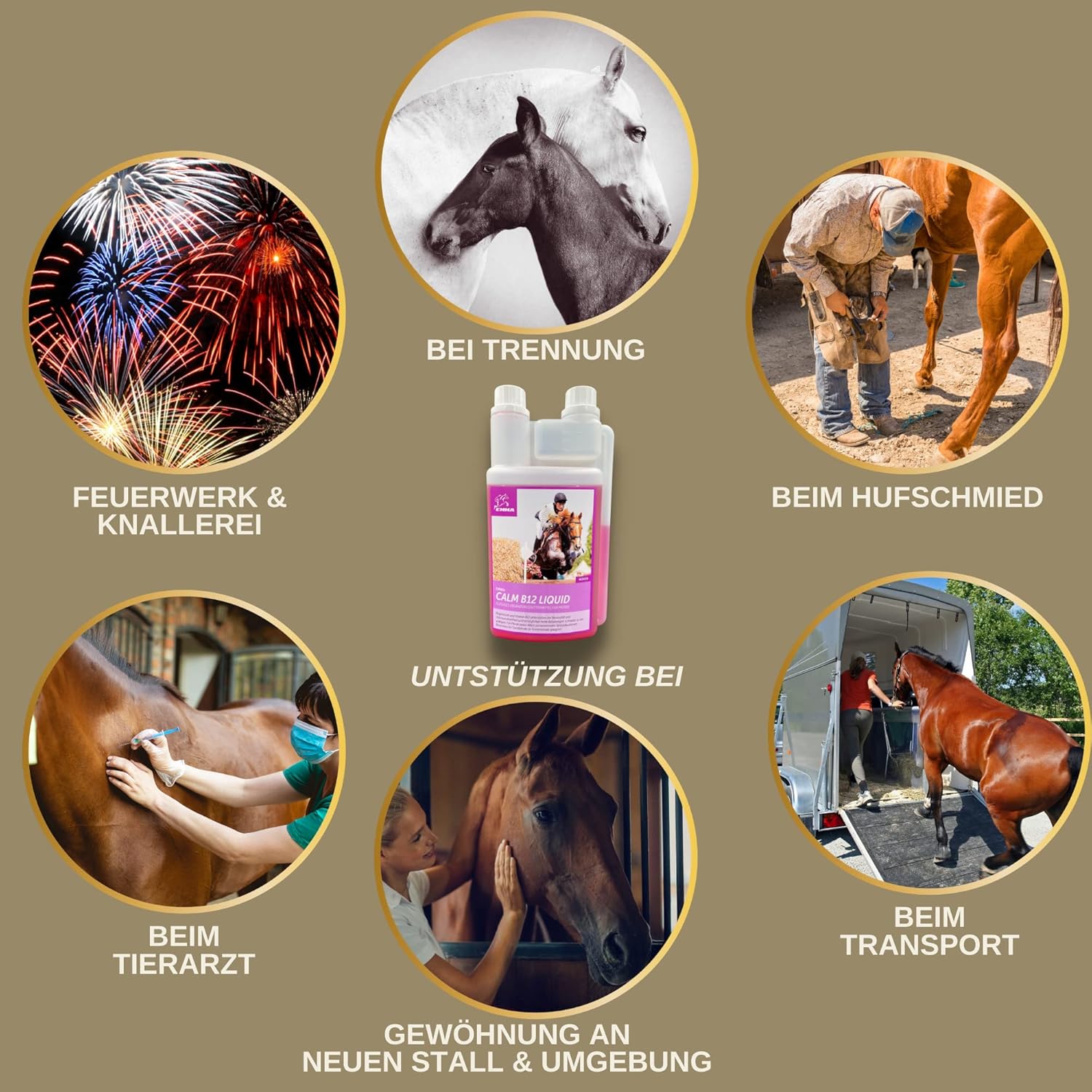 Magnesium Komplex mit B6 & Zink – Magnesium Horse with Tryptophan Vitamin B12 Liquid 1L Additional Food Calm Anti Stress - Horse Relax I Magnesium Complex for Relaxation Soothing Nerves Horse I Like Horses Relax for Anxiety Transport – Bild 3