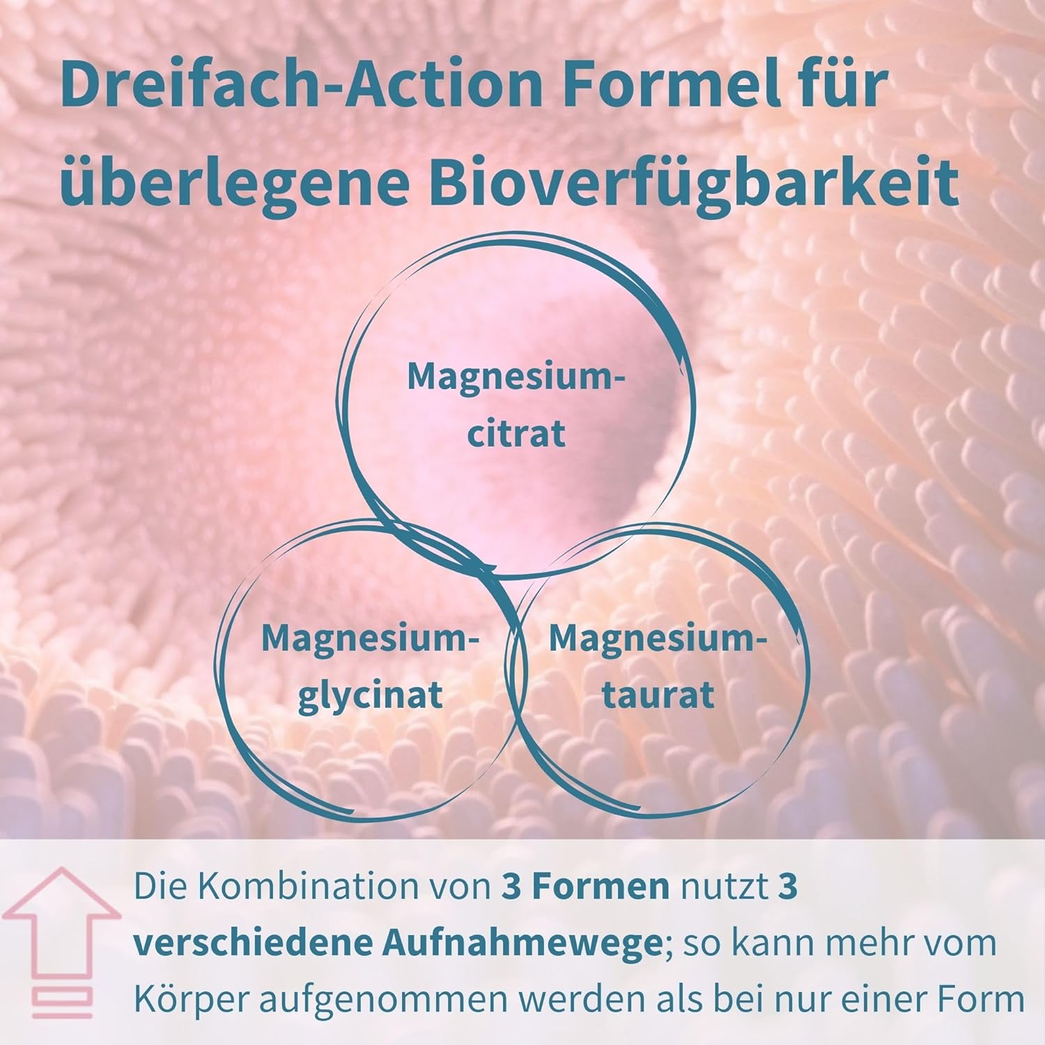 Magnesium Komplex mit B6 & Zink – Igennus Advanced Triple Magnesium Complex, Fully Reacted & Chelated Glycinate, Taurate & Citrate, Clean Label, High Bioavailability & Absorption, 60 Tablets, Vegan – Bild 3