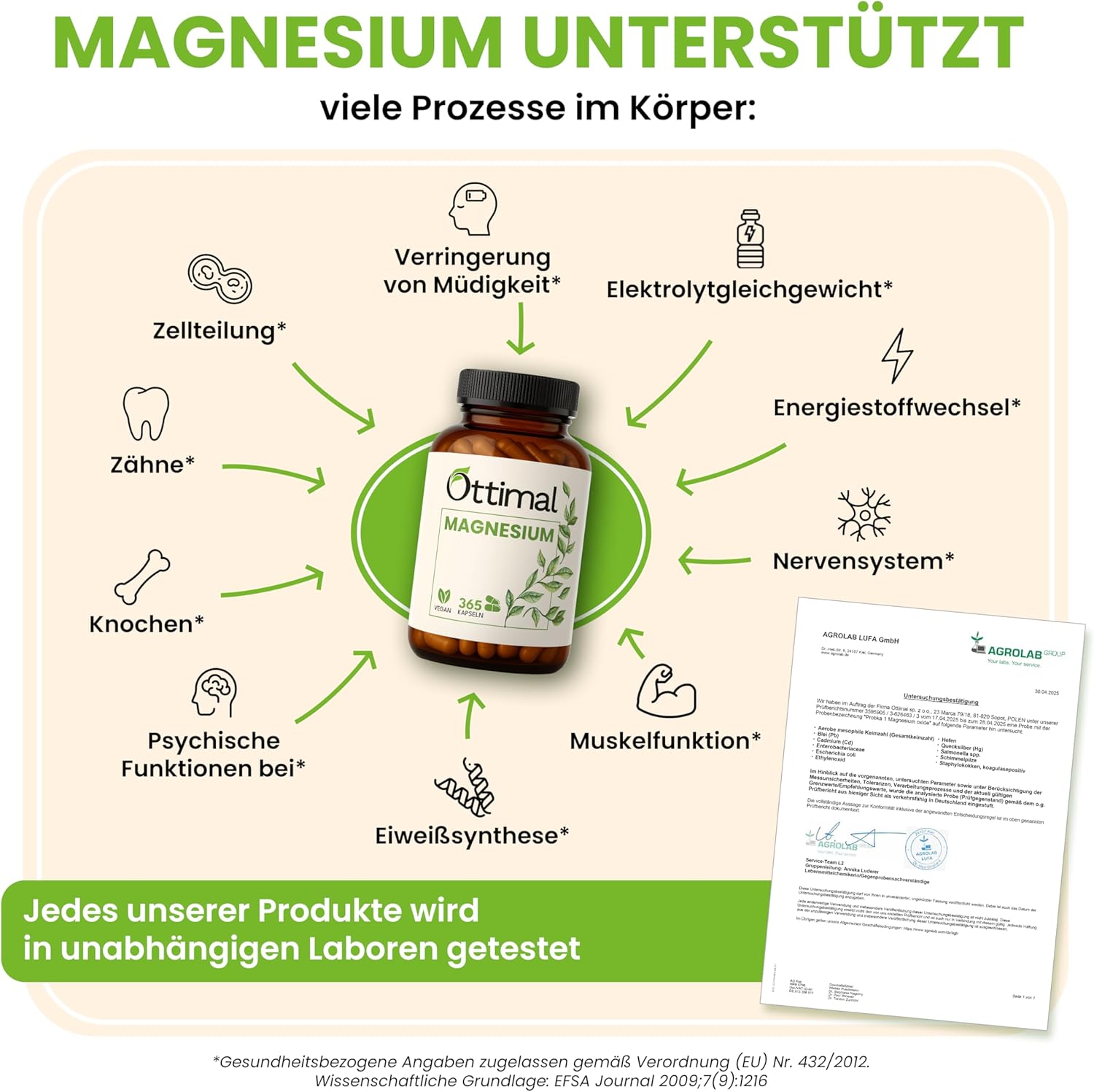 Magnesium 400 mg – Small capsules (107% NRV / 400 mg / 365 pcs/1 year) magnesium oxide 666 mg, of which 400 mg elementary - magnesium high dose capsules - daily requirement in 1 capsule (annual supply) laboratory tested – Bild 3