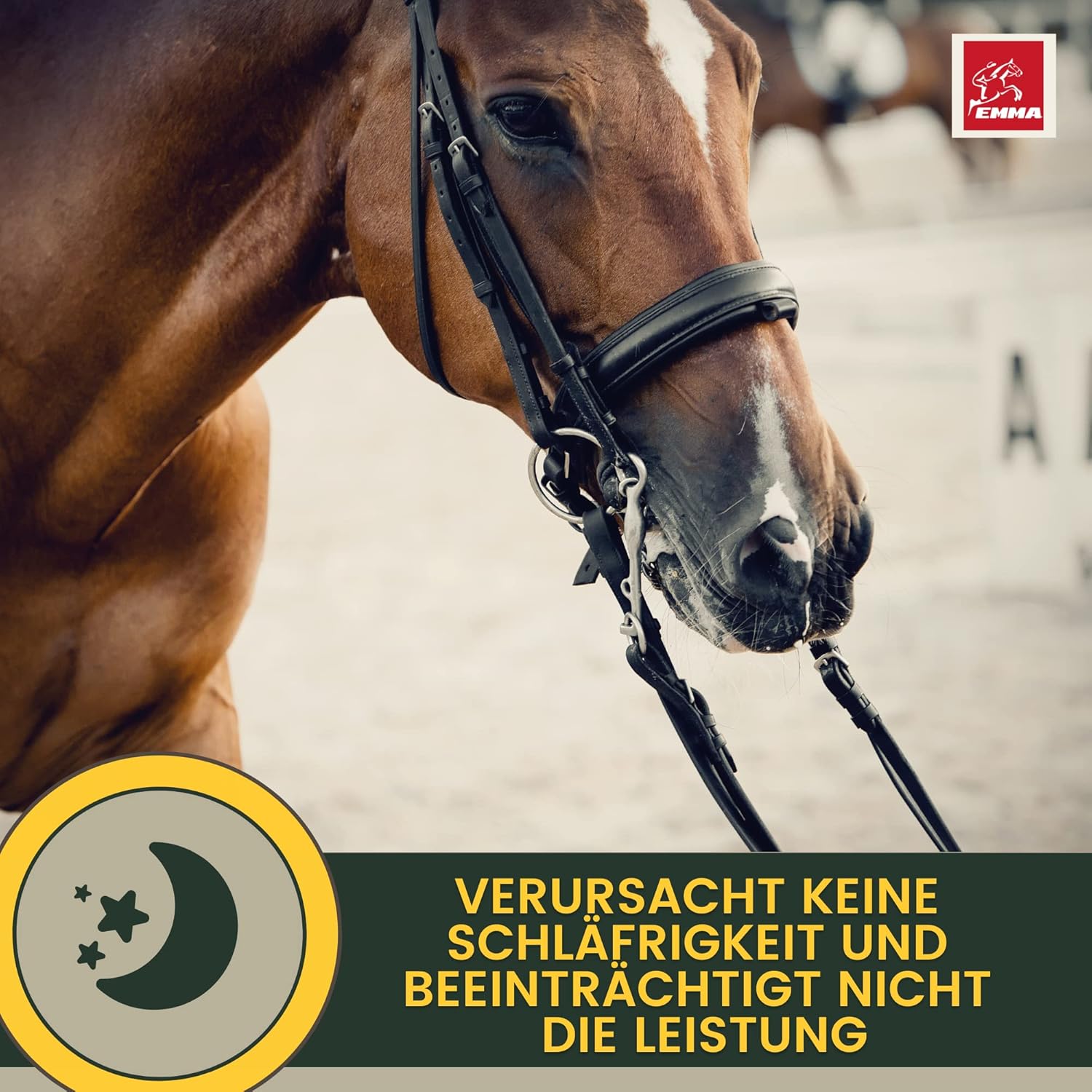 Magnesium Komplex mit B6 & Zink – Magnesium Horse with Tryptophan Vitamin B12 Liquid 1L Additional Food Calm Anti Stress - Horse Relax I Magnesium Complex for Relaxation Soothing Nerves Horse I Like Horses Relax for Anxiety Transport – Bild 8