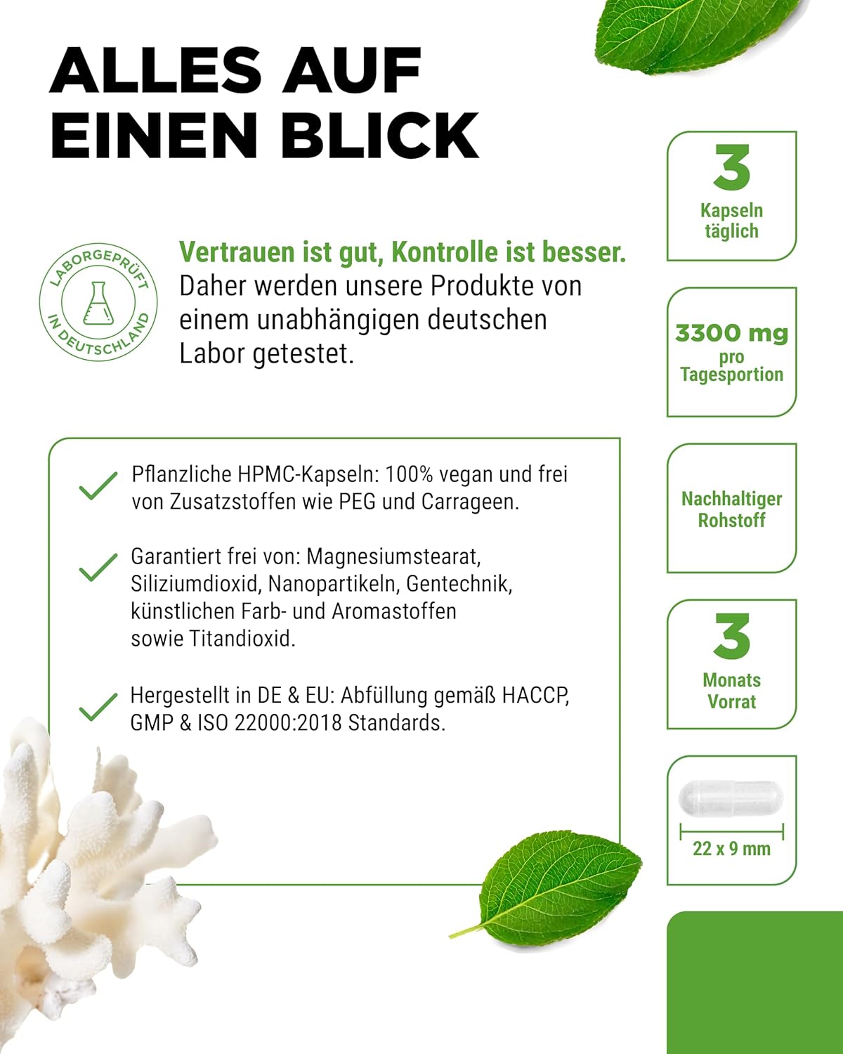 Magnesium 600 mg – Sango Sea Coral - 240 Capsules (3 Months) - 660 mg Calcium & 330 mg Magnesium - Natural Calcium and Magnesium Source - High Dose – Bild 4