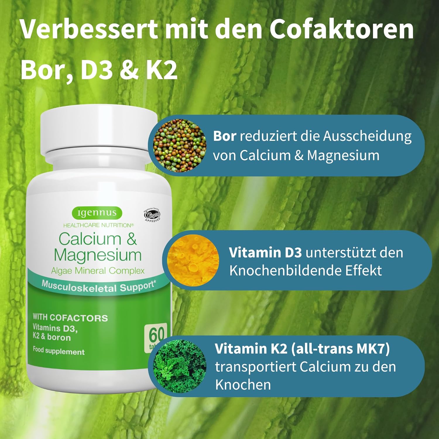 Magnesium Komplex mit B6 & Zink – Igennus Calcium Magnesium Complex with Vitamin D3, K2 and Boron as Co-Factors, High Dose, Algae Mineral Complex, Vegan, 60 Tablets – Bild 4