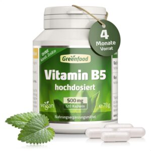 Magnesium Komplex mit B6 & Zink – Vitamin B5 (Pantothenic Acid) 500 mg High Dose – 120 Vegetable Capsules – For Mental Performance, Important Beauty Factor, No Artificial Additives, No Genetic Engineering, Vegan