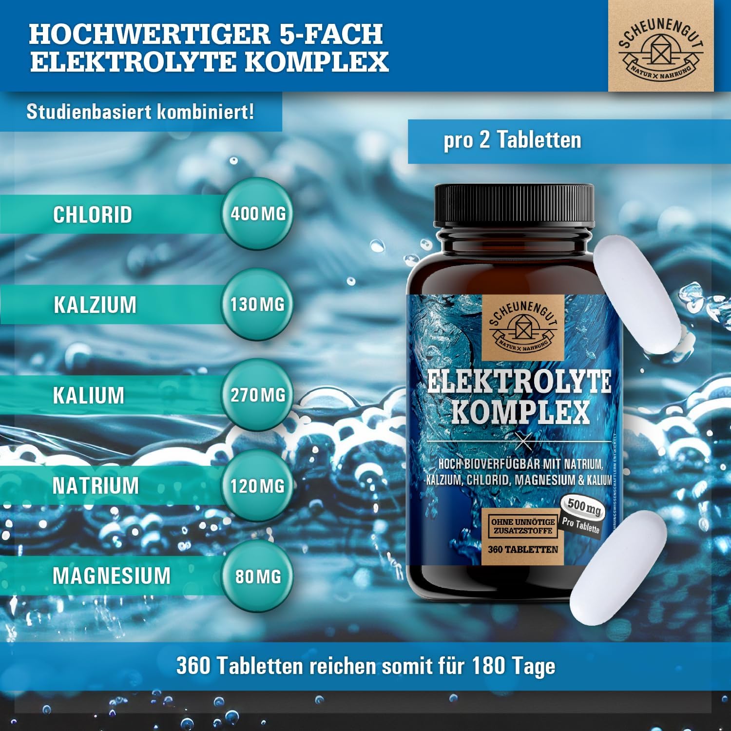 Magnesium Komplex mit B6 & Zink – Electrolytes 1000 mg per dose – Important: Electrolytes without sugar – Potassium, Magnesium, Calcium, Chloride and Sodium – High Dose Complex – 360 Electrolytes I Vegan DE SCHEUNENGUT® – Bild 2