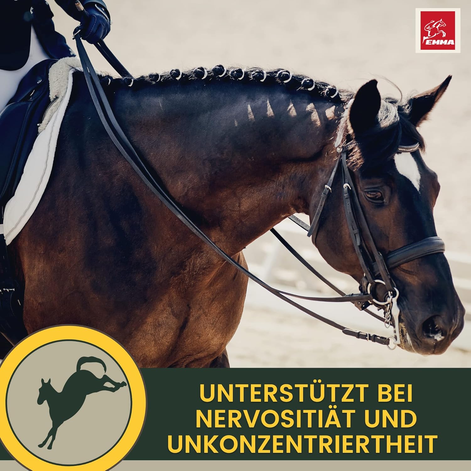 Magnesium Komplex mit B6 & Zink – Magnesium Horse with Tryptophan Vitamin B12 Liquid 1L Additional Food Calm Anti Stress - Horse Relax I Magnesium Complex for Relaxation Soothing Nerves Horse I Like Horses Relax for Anxiety Transport – Bild 5