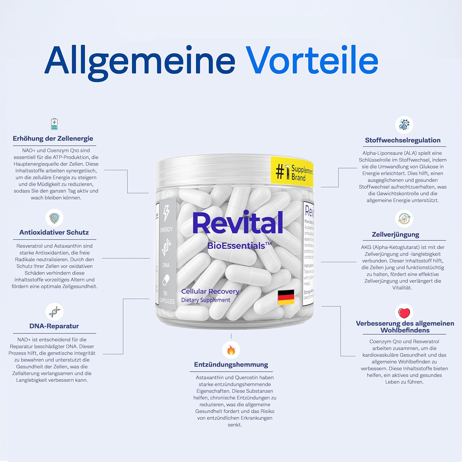 Magnesium 600 mg – Revital Resveratrol & NAD+ Nicotinamida Adenina Dinucleótido - Anti-Ageing Cell Supplement - 600 mg per Capsule - Resveratrol, NAD+, Shilajit, Vitamins and Magnesium - 90 Capsules - Cell Repair – Bild 7