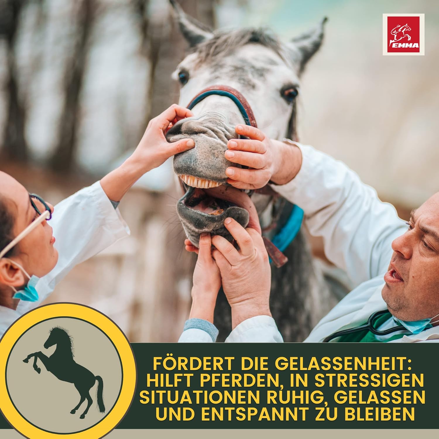 Magnesium Komplex mit B6 & Zink – Magnesium Horse with Tryptophan Vitamin B12 Liquid 1L Additional Food Calm Anti Stress - Horse Relax I Magnesium Complex for Relaxation Soothing Nerves Horse I Like Horses Relax for Anxiety Transport – Bild 6