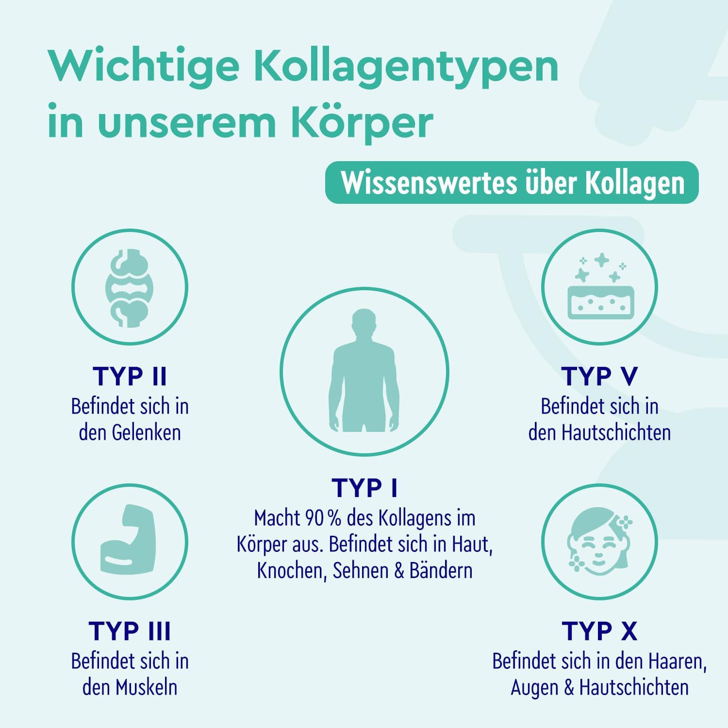 Magnesium Komplex mit B6 & Zink – Collagen, Coenzyme Q10 Hyaluronic Acid Premium: Marine Collagen, With Zinc, Magnesium, Vitamin B12, D3, A & C, 60 Capsules, Laboratory Tested, High Dose without Additives, Made in Germany – Bild 3