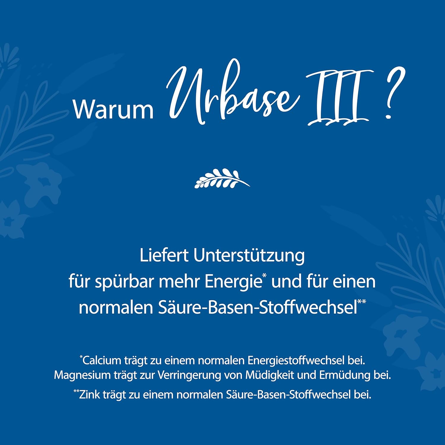 Magnesium Komplex mit B6 & Zink – Laetitia Original Urbase III Protection Building Base Mineral Powder: Dietary Supplement with Magnesium, Calcium, Zinc, Silica - Base Fasting - Vegan 200 g Tin – Bild 5