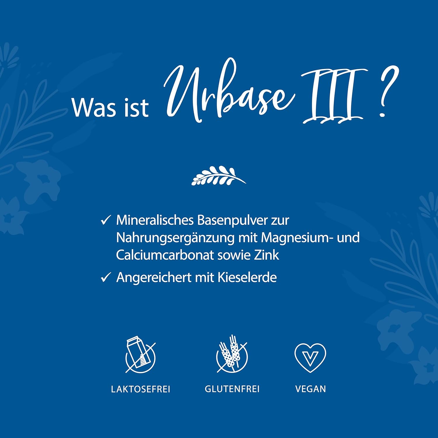 Magnesium Komplex mit B6 & Zink – Laetitia Original Urbase III Protection Building Base Mineral Powder: Dietary Supplement with Magnesium, Calcium, Zinc, Silica - Base Fasting - Vegan 200 g Tin – Bild 4