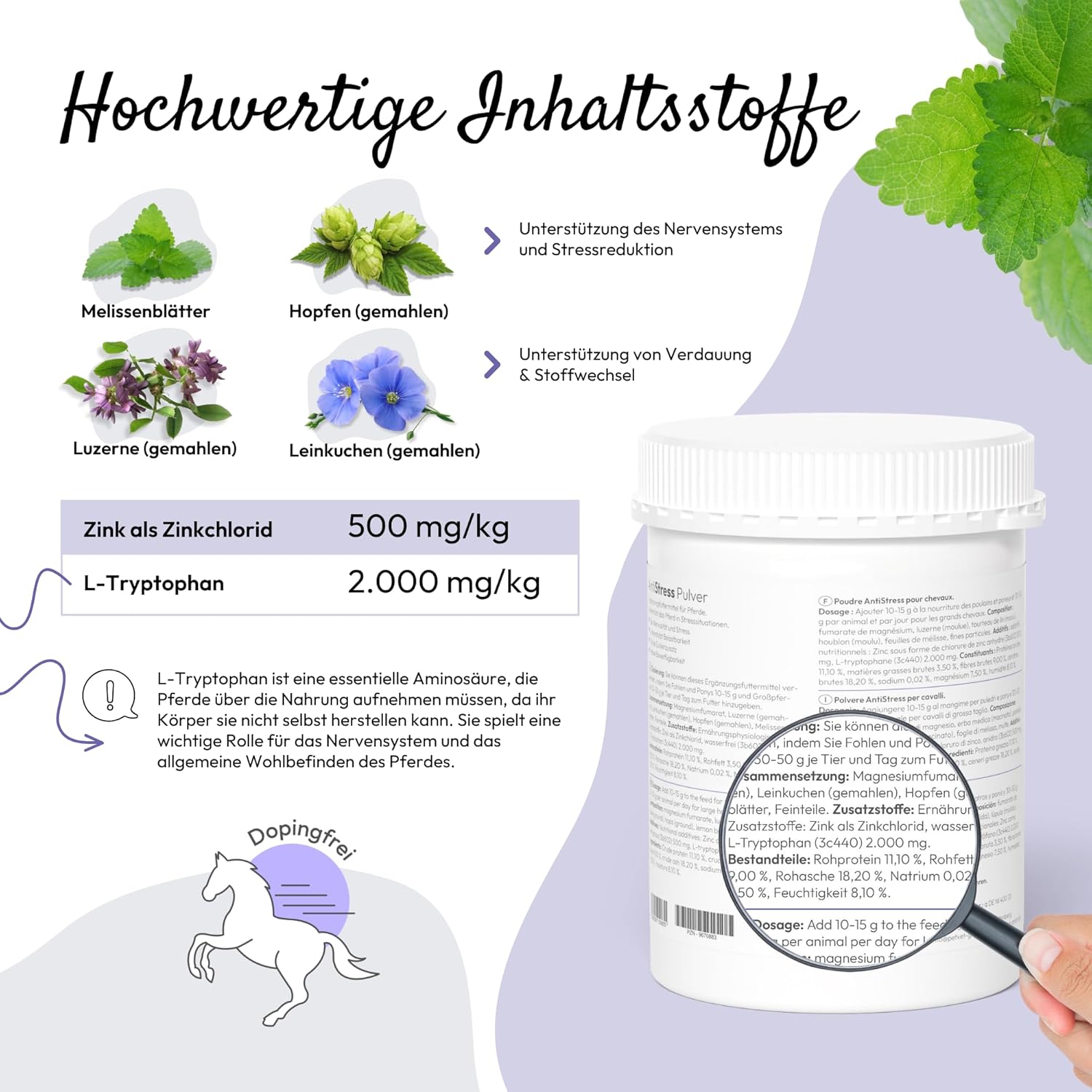 Magnesium Komplex mit B6 & Zink – PHA Antistress Powder for Horses - Soothes Nervous & Stressed Horses with Herbs, Magnesium, Zinc & L-Tryptophan, 850 g – Bild 3