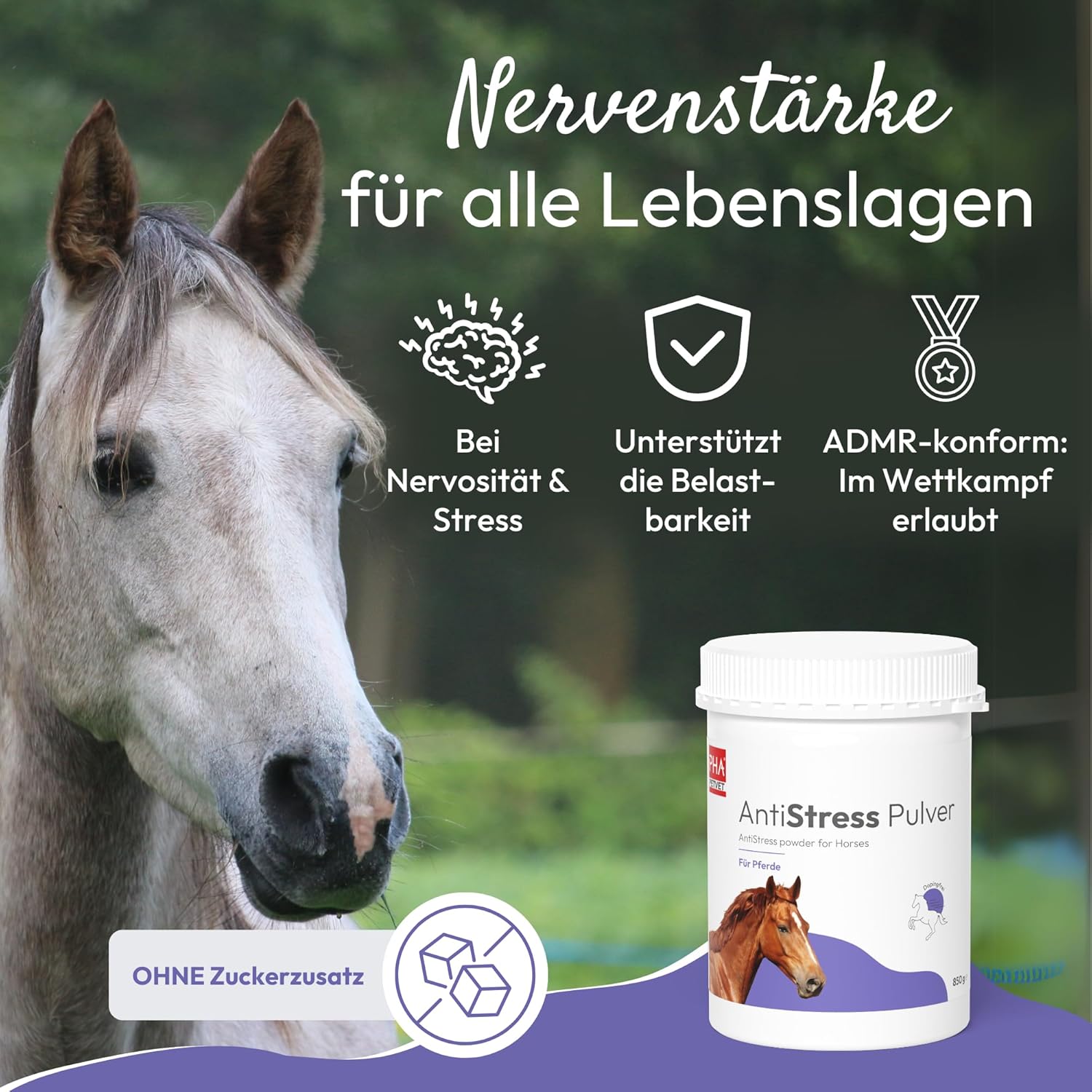 Magnesium Komplex mit B6 & Zink – PHA Antistress Powder for Horses - Soothes Nervous & Stressed Horses with Herbs, Magnesium, Zinc & L-Tryptophan, 850 g – Bild 2