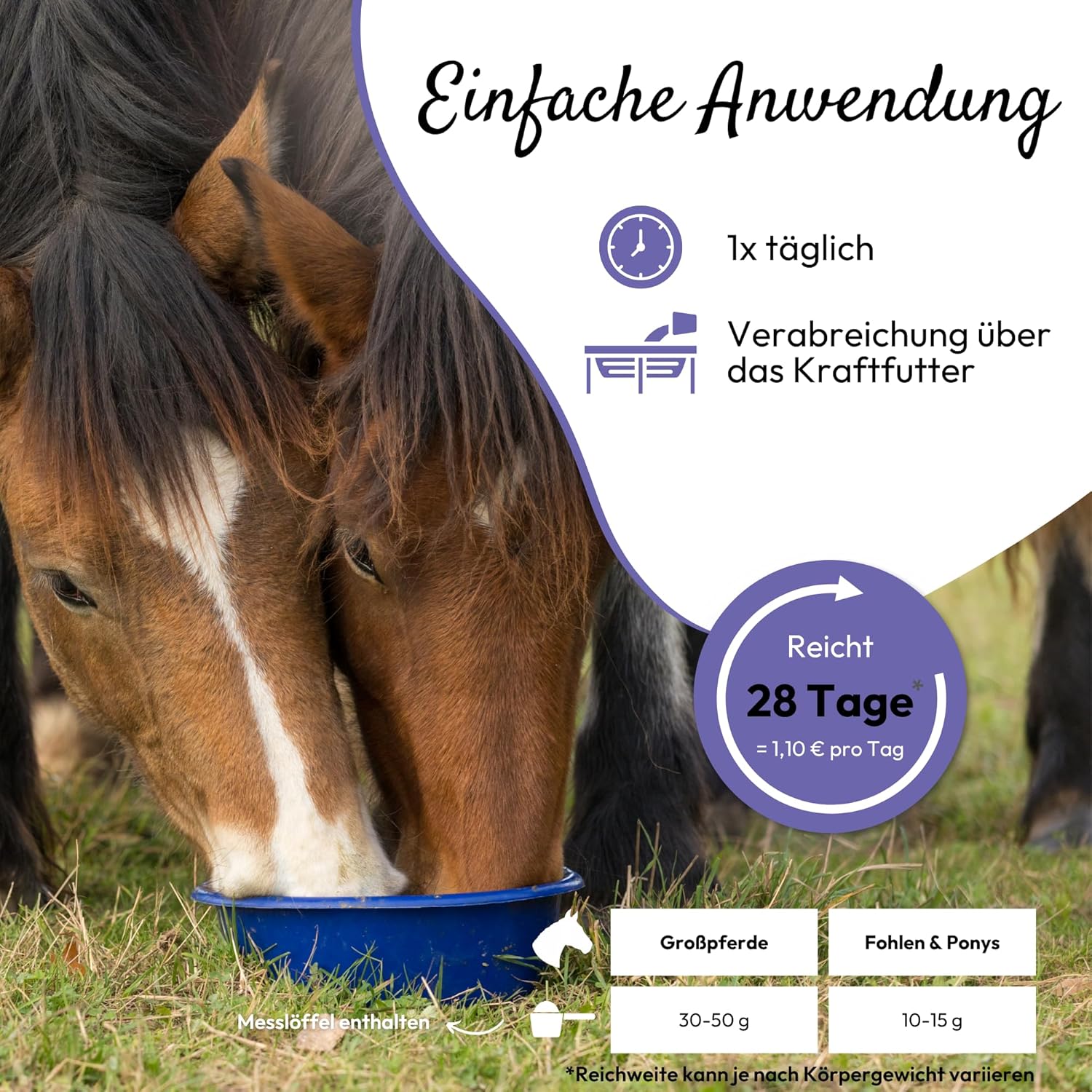 Magnesium Komplex mit B6 & Zink – PHA Antistress Powder for Horses - Soothes Nervous & Stressed Horses with Herbs, Magnesium, Zinc & L-Tryptophan, 850 g – Bild 4